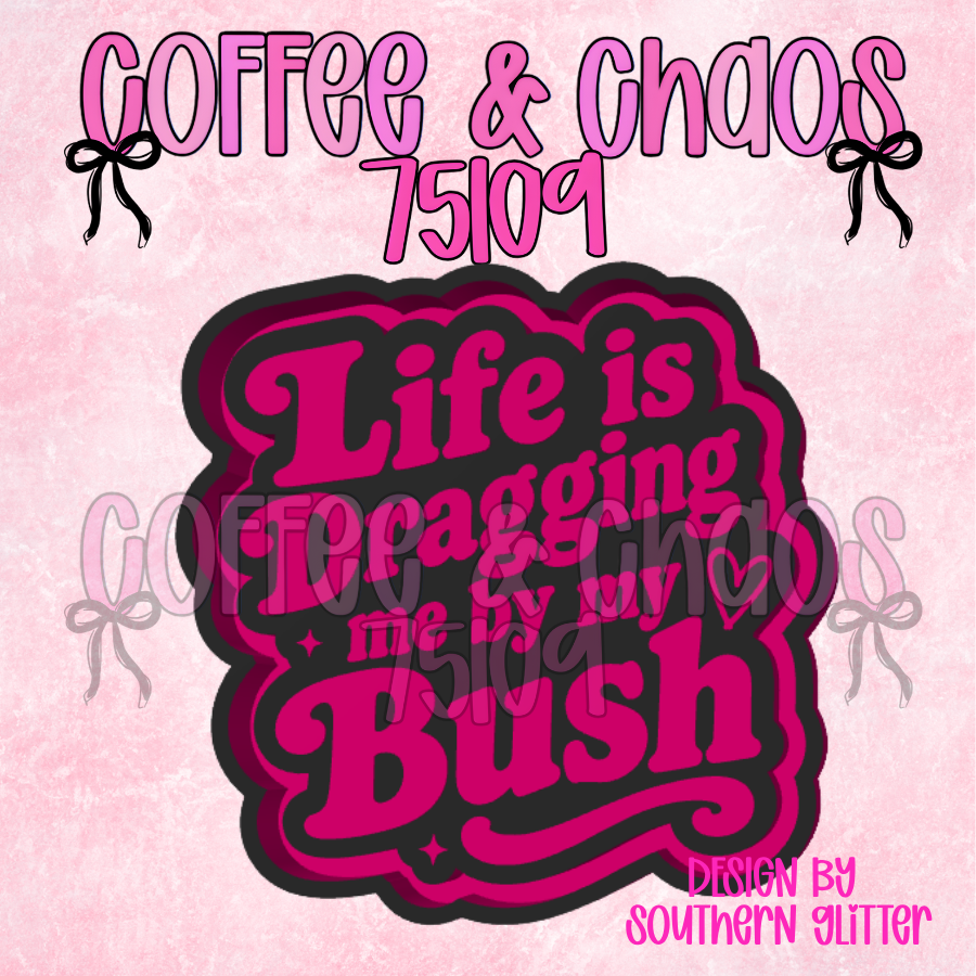 LIFE IS DRAGGING ME BY THE BUSH